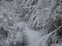 Winter Wonderland Aumatt