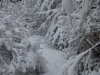20081219_2053514183_dez08-18